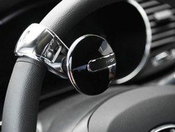 Platinum Steering Knob