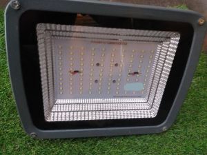 Led Flood Light