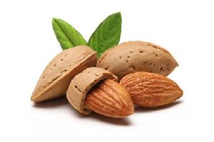 Almond Nuts