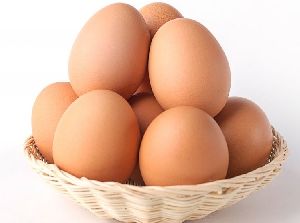 Brown Eggs