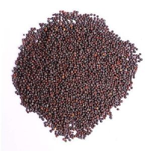 Brown Mustard Seeds