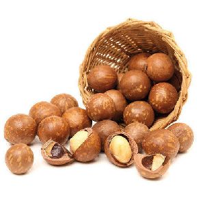 Macadamia Nuts