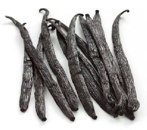 Vanilla Beans