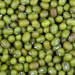 Green Mung Bean