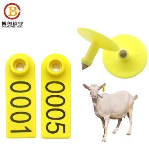 BCE103 Blank Sheep and Goat Ear Tags