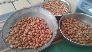 Groundnut Seed