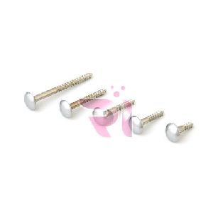 carriage screw