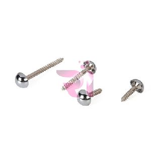 Mirror Screw