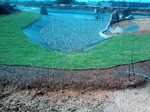 Decorative Pond Lining Services