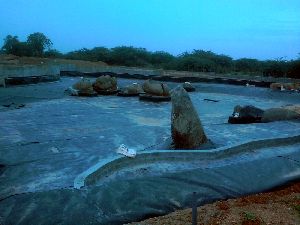 Decorative Pond Lining Services