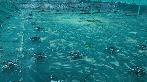 Aqua Pond Lining Services