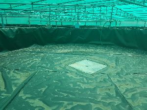 Aqua Pond Lining Services