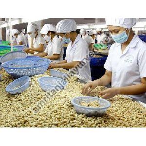 Cashew Industry Training