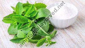 Stevia Contract Farming