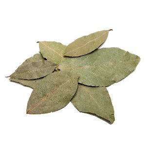 Dried Bay Leaves