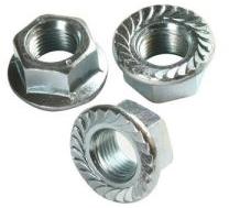 Hex Flange Nuts