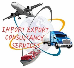 import consultancy services