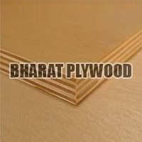 Hardwood Plywood (19mm)