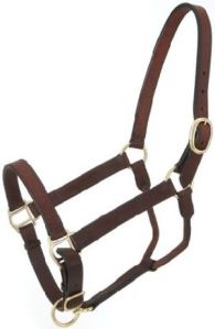 Article No. LH 203 A Horse Leather Halter