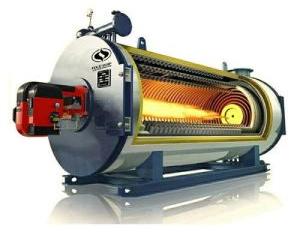 thermal oil heaters