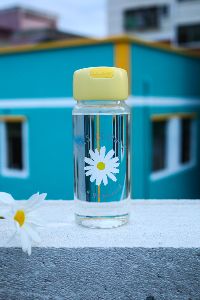 Daisy Warm Glass Fresh and Simple Portable Water Cup for students