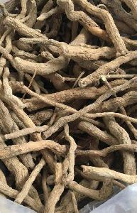 Serpentina Roots