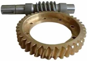 Bronze Worm Gear