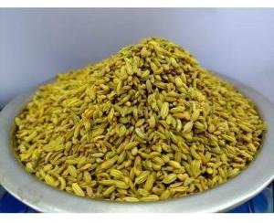 Roasted Variyali Seeds Mouth Freshener Mukhwas