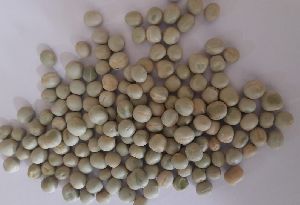 GREEN PEAS (DRY)