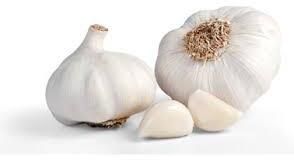 Fresh Garlic