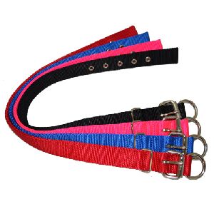 .50 Inch Puppy Nylon Dog Collar