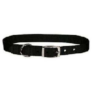 Black Dog Collar Belt