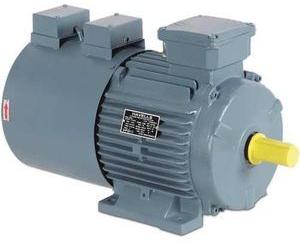 Havells 3 Phase Motor