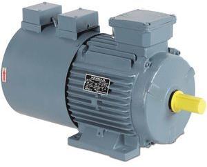 Havells Inverter Duty Motor