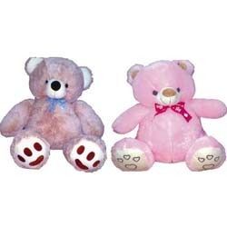 Teddy Pairs