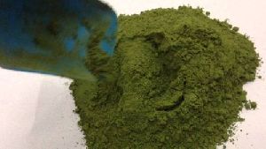 Stevia Green Powder