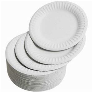 Round Paper Plates