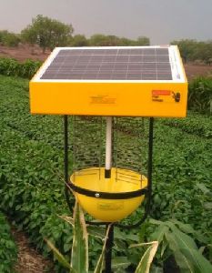 Solar Insect Trap