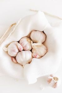 Fresh Garlic