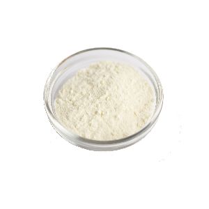 Milk Powder