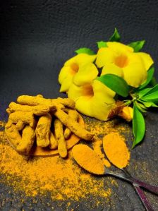 Turmeric Powder