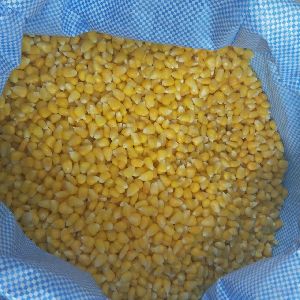 Sweet Corn Kernels - Uncut