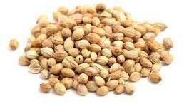 Coriander Seed