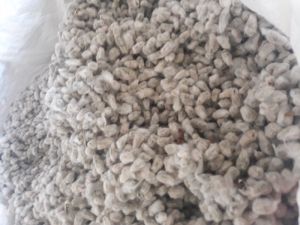 Cattle Feed Cotton Seed Cake