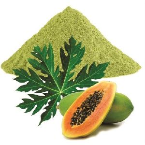 Papaya Leaf Powder