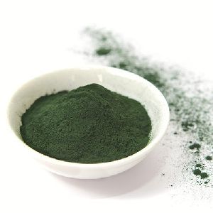 Dietary Supplement Spirulina Powder