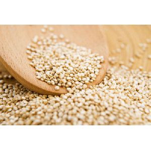 white quinoa seeds