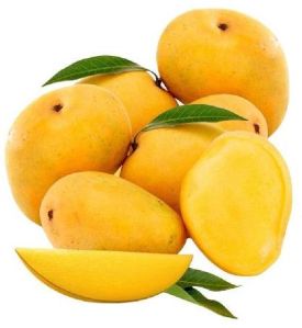 Alphonso Mango Lip Flavour Oil