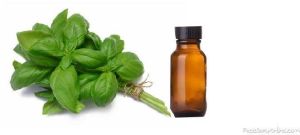 Basil Oil