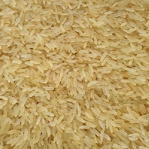PR 11 Golden Rice